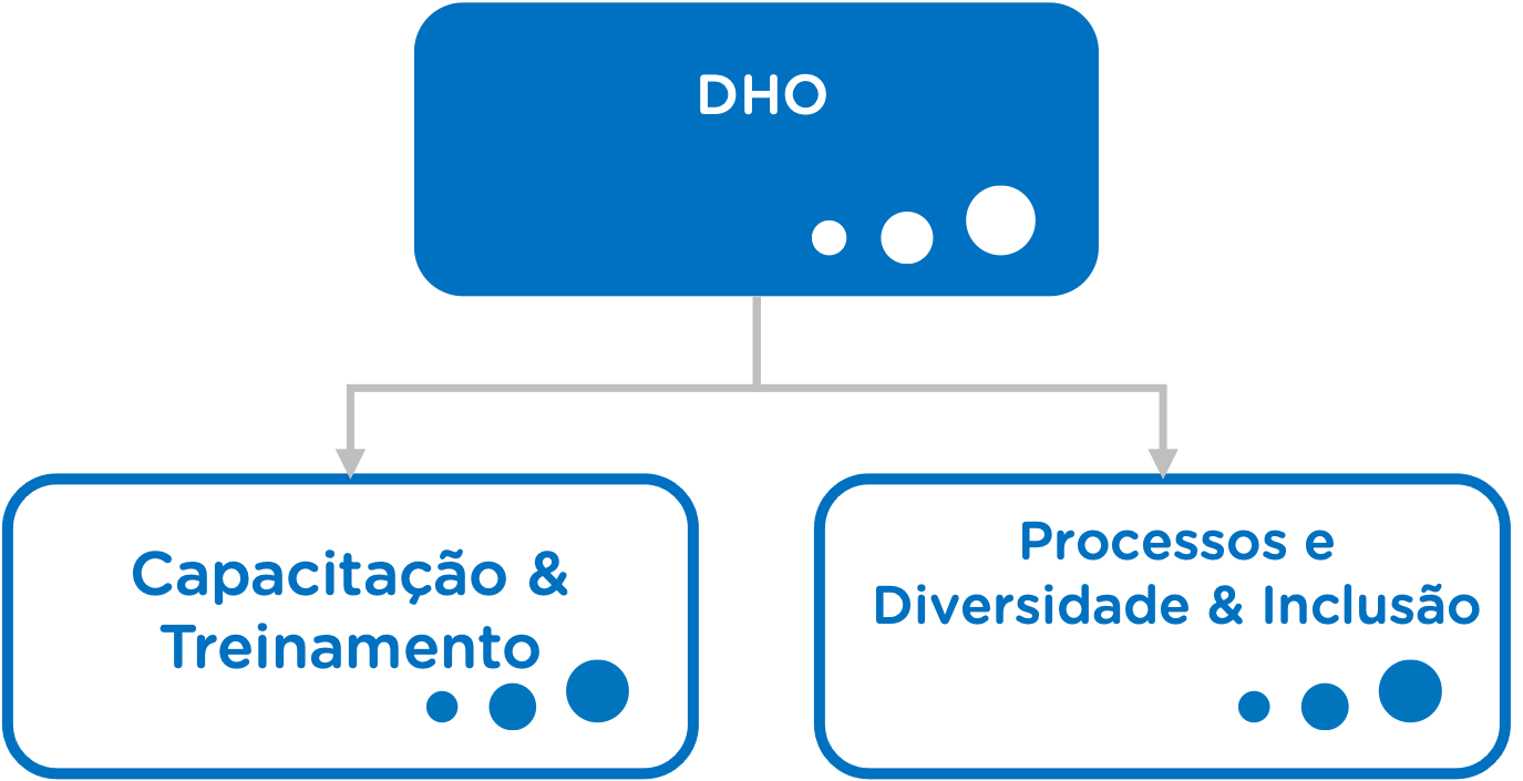 organo DP